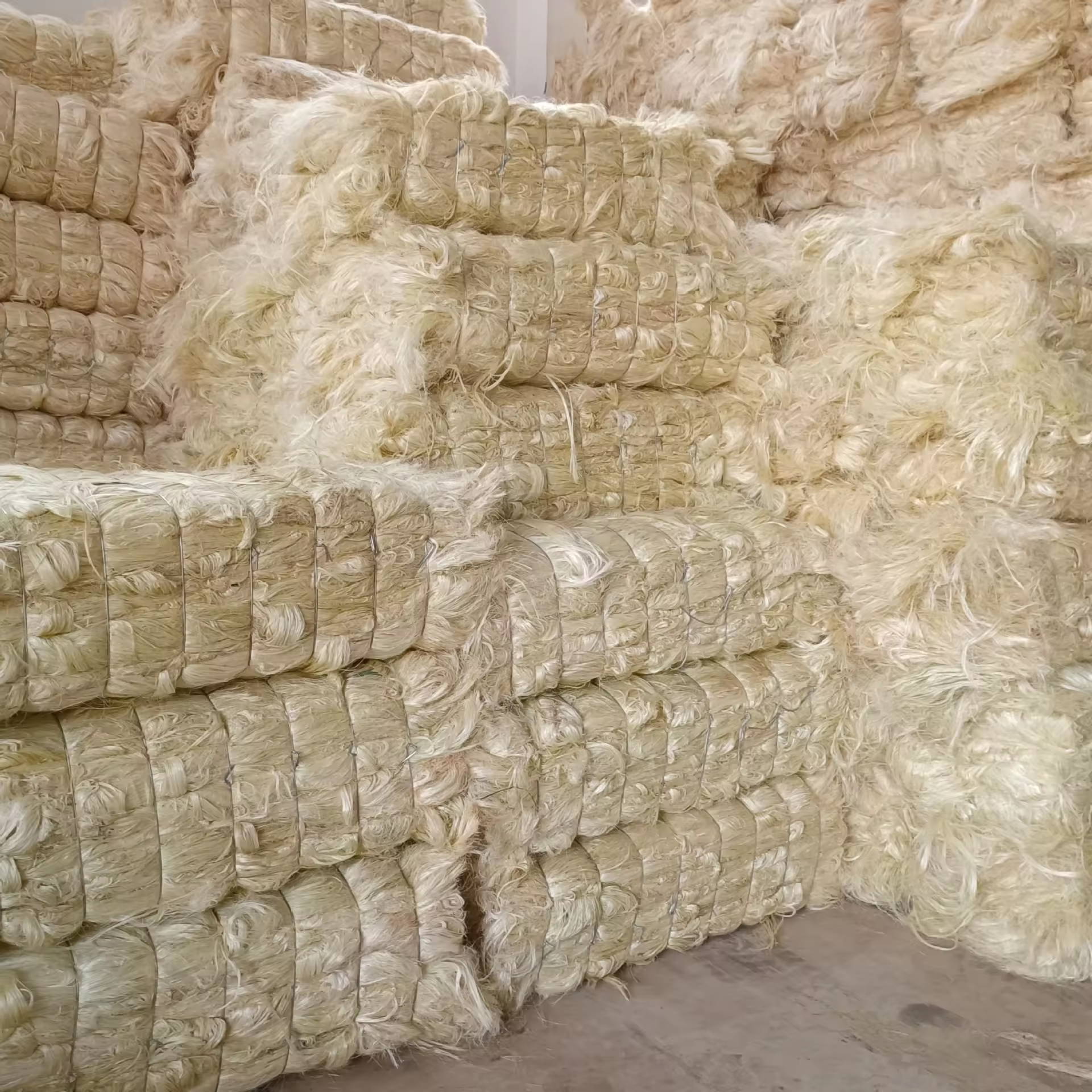 Sisal fiber